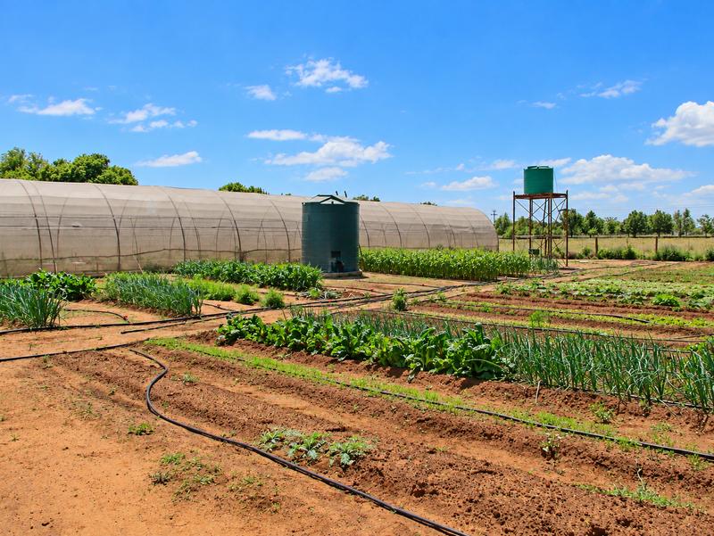 4 Bedroom Property for Sale in Bainsvlei Free State